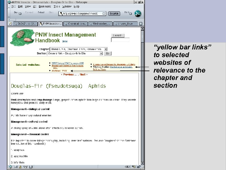 “yellow bar links” to selected websites of relevance to the chapter and section 