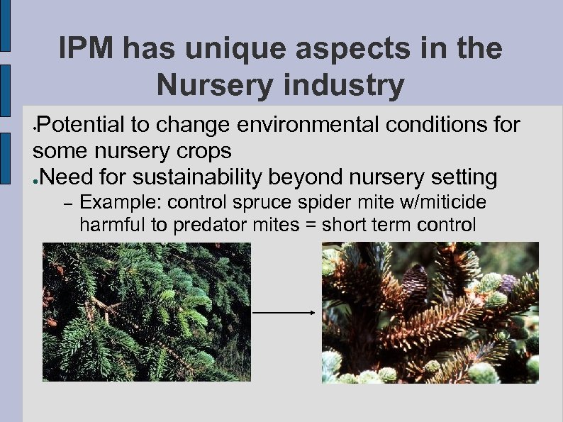 IPM has unique aspects in the Nursery industry Potential to change environmental conditions for