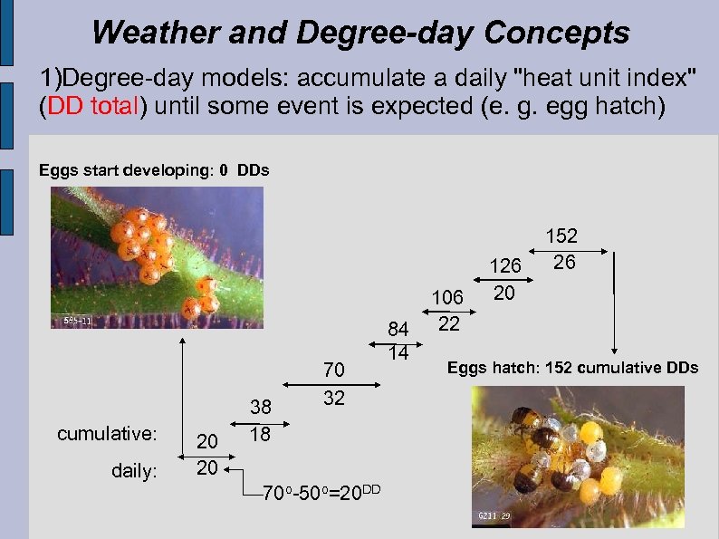 Weather and Degree-day Concepts 1)Degree-day models: accumulate a daily "heat unit index" (DD total)