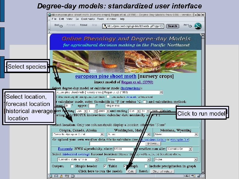 Degree-day models: standardized user interface 