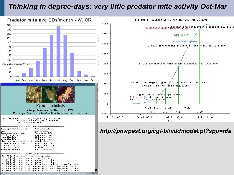 Thinking in degree-days: very little predator mite activity Oct-Mar http: //pnwpest. org/cgi-bin/ddmodel. pl? spp=nfa