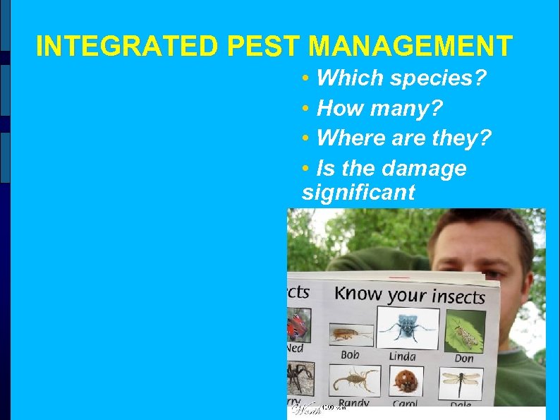 INTEGRATED PEST MANAGEMENT • Which species? • How many? • Where are they? •
