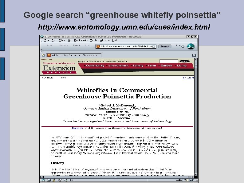 Google search “greenhouse whitefly poinsettia” http: //www. entomology. umn. edu/cues/index. html 