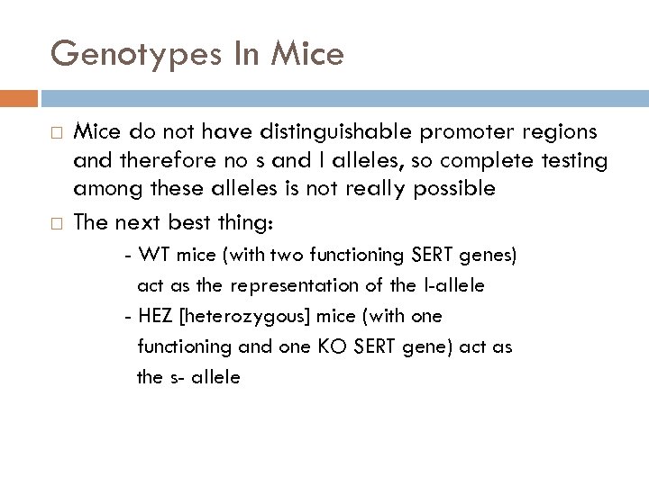 Genotypes In Mice do not have distinguishable promoter regions and therefore no s and