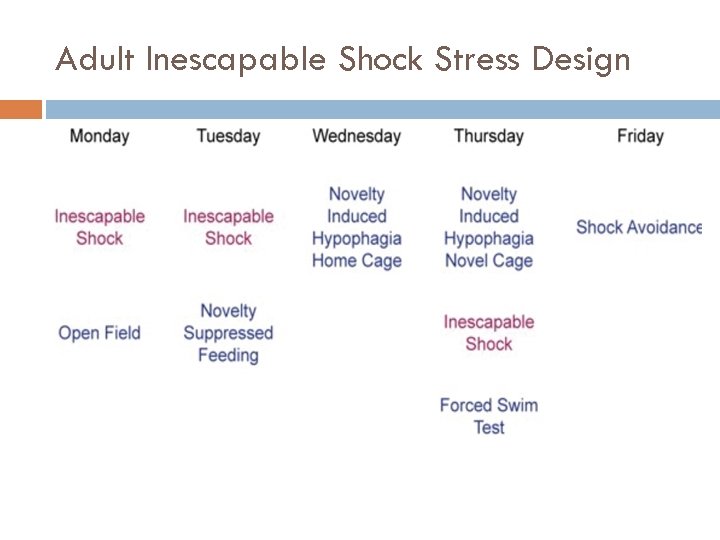 Adult Inescapable Shock Stress Design 