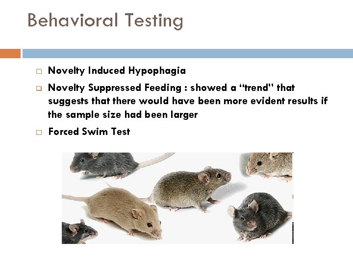 Behavioral Testing Novelty Induced Hypophagia q Novelty Suppressed Feeding : showed a “trend” that