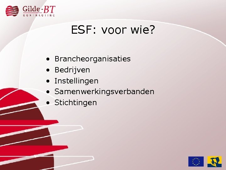 ESF: voor wie? • • • Brancheorganisaties Bedrijven Instellingen Samenwerkingsverbanden Stichtingen 