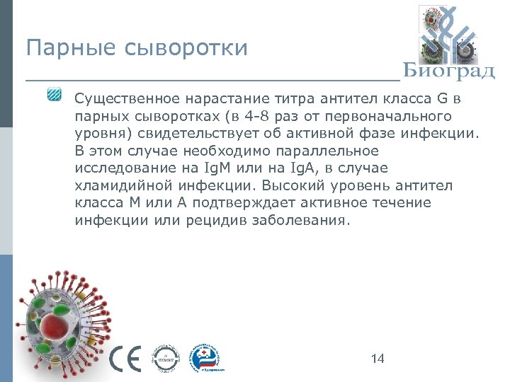 Парные сыворотки Существенное нарастание титра антител класса G в парных сыворотках (в 4 -8