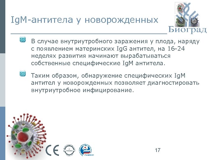 Ig. M-антитела у новорожденных В случае внутриутробного заражения у плода, наряду с появлением материнских
