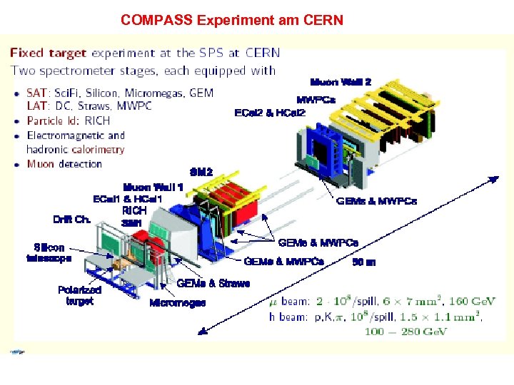 COMPASS Experiment am CERN 