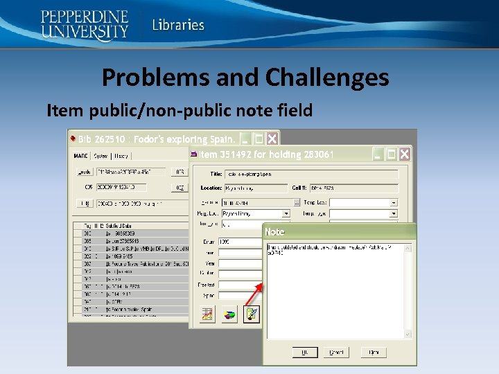 Problems and Challenges Item public/non-public note field 