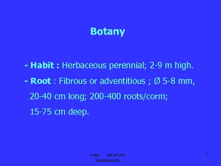 Botany - Habit : Herbaceous perennial; 2 -9 m high. - Root : Fibrous