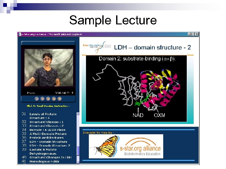 Sample Lecture 
