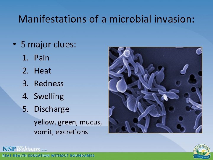 Manifestations of a microbial invasion: • 5 major clues: 1. 2. 3. 4. 5.