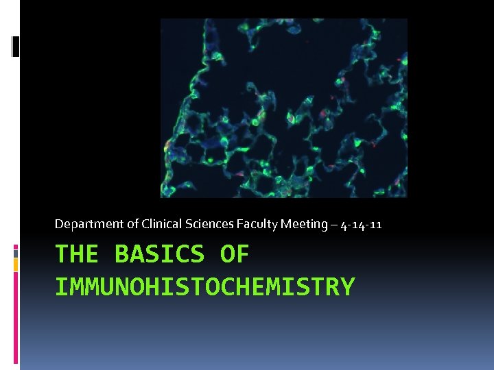 Department of Clinical Sciences Faculty Meeting – 4 -14 -11 THE BASICS OF IMMUNOHISTOCHEMISTRY