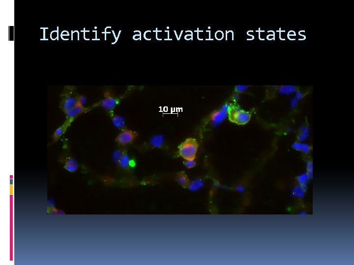 Identify activation states 