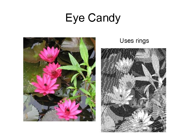 Eye Candy Uses rings 