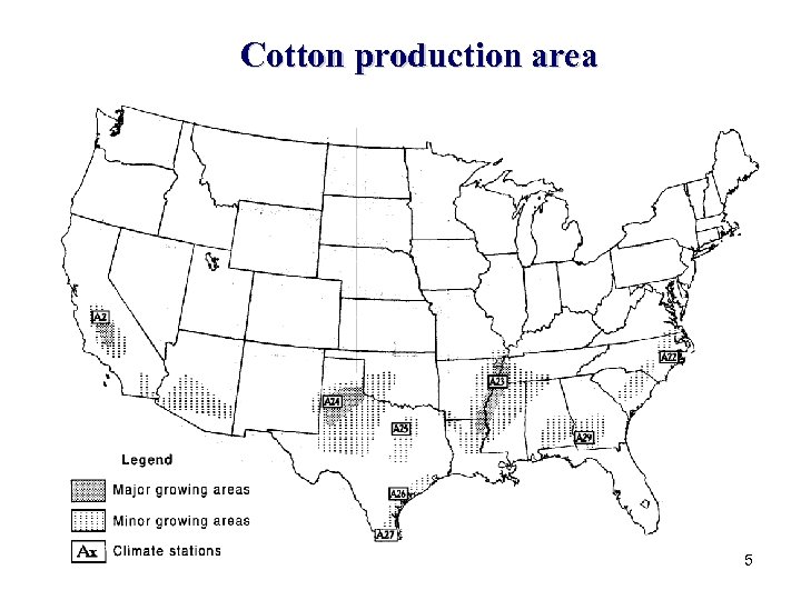 Cotton production area 5 