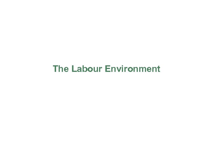 The Labour Environment 