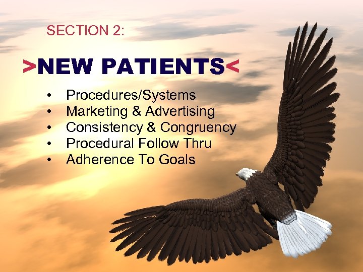 SECTION 2: >NEW PATIENTS< • • • Procedures/Systems Marketing & Advertising Consistency & Congruency