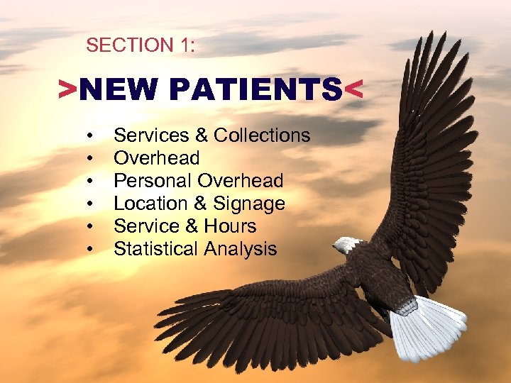SECTION 1: >NEW PATIENTS< • • • Services & Collections Overhead Personal Overhead Location