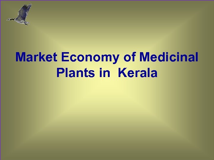 Market Economy of Medicinal Plants in Kerala 