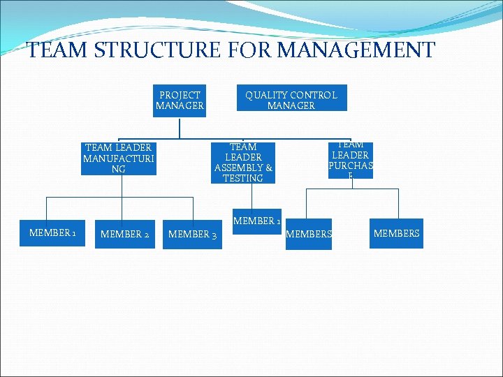 TEAM STRUCTURE FOR MANAGEMENT QUALITY CONTROL MANAGER PROJECT MANAGER TEAM LEADER MANUFACTURI NG MEMBER