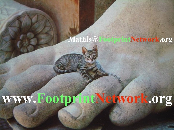 Cat on Roman foot Mathis@Footprint. Network. org www. Footprint. Network. org 
