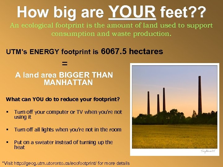 How big are YOUR feet? ? An ecological footprint is the amount of land