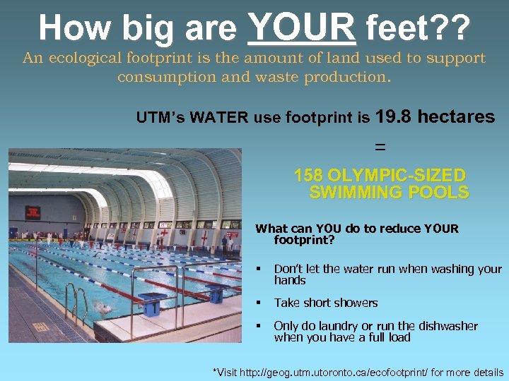How big are YOUR feet? ? An ecological footprint is the amount of land