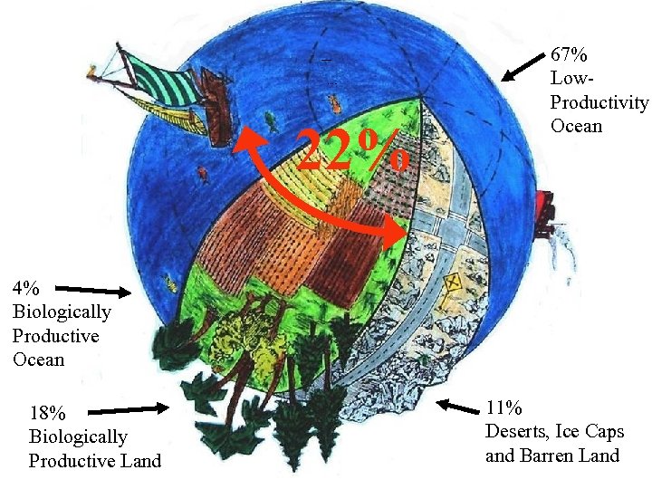 Bioproductive Segments Bioproductive segments 22% 67% Low. Productivity Ocean 4% Biologically Productive Ocean 18%