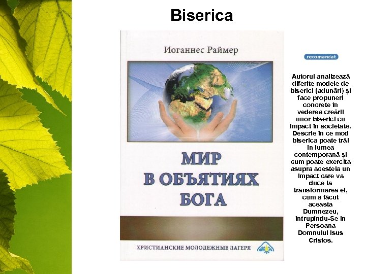 Biserica Autorul analizează diferite modele de biserici (adunări) şi face propuneri concrete în vederea