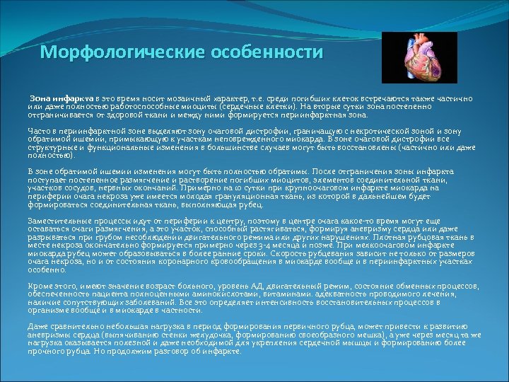  Морфологические особенности Зона инфаркта в это время носит мозаичный характер, т. е. среди