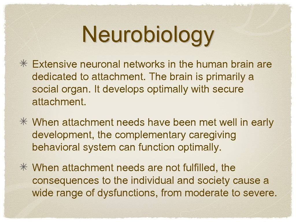 Neurobiology Extensive neuronal networks in the human brain are dedicated to attachment. The brain