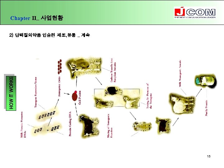 Chapter Ⅱ_ 사업현황 HOW IT WORKS 2) 단백질의약품 인슐린 제조, 유통 _ 계속 15