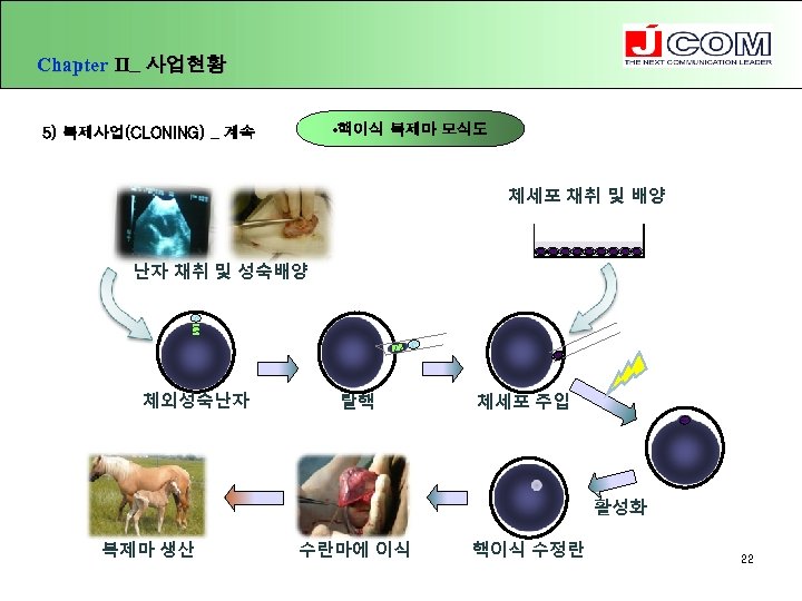 Chapter Ⅱ_ 사업현황 • 핵이식 복제마 모식도 5) 복제사업(CLONING) _ 계속 체세포 채취 및