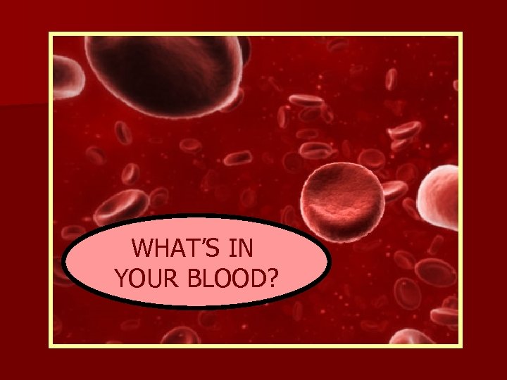 WHAT’S IN YOUR BLOOD? 