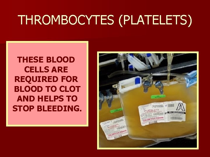THROMBOCYTES (PLATELETS) THESE BLOOD CELLS ARE REQUIRED FOR BLOOD TO CLOT AND HELPS TO