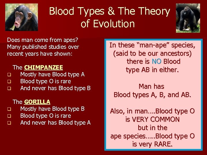  Blood Types & Theory of Evolution Does man come from apes? Many published