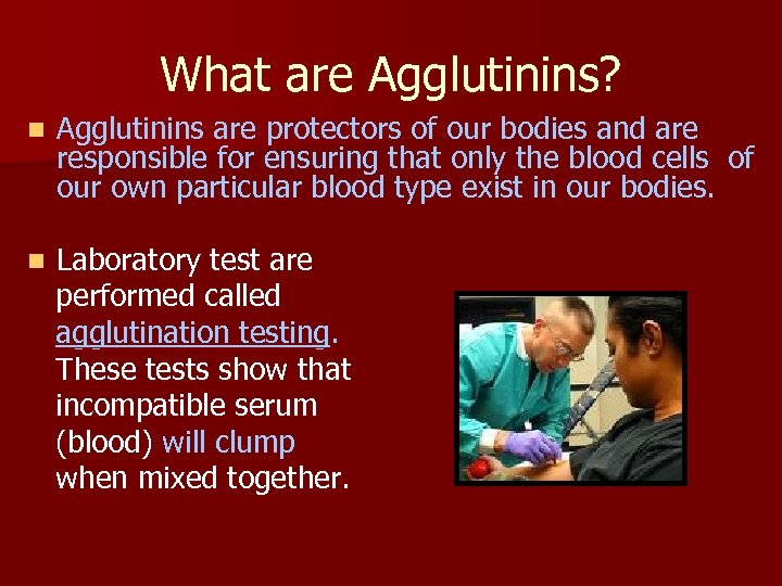 What are Agglutinins? n Agglutinins are protectors of our bodies and are responsible for