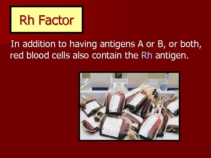 Rh Factor In addition to having antigens A or B, or both, red blood