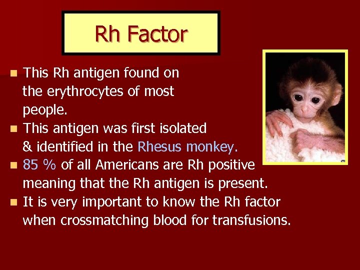 Rh Factor This Rh antigen found on the erythrocytes of most people. n This
