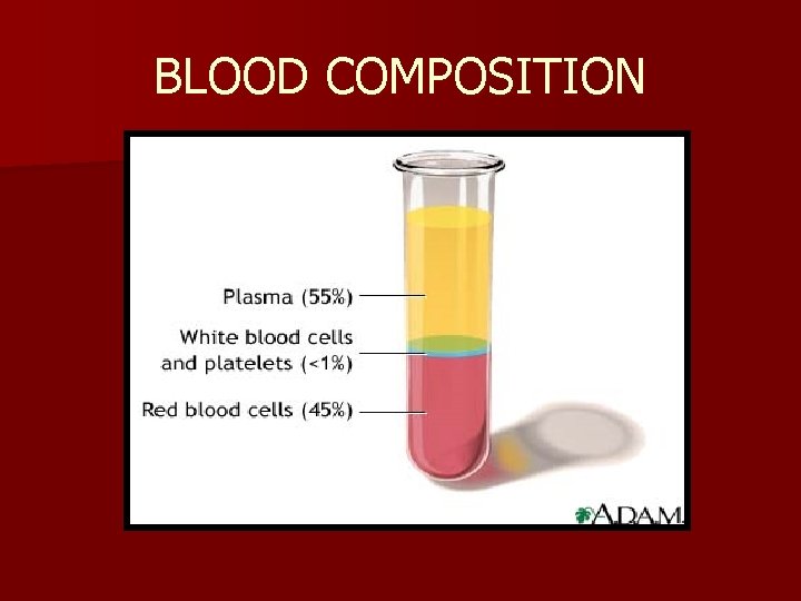 BLOOD COMPOSITION 