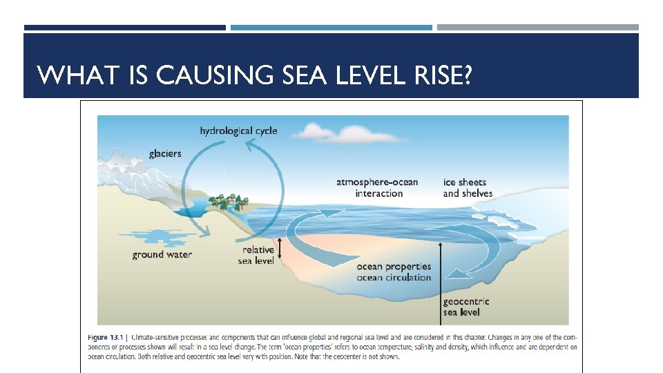 WHAT IS CAUSING SEA LEVEL RISE? 
