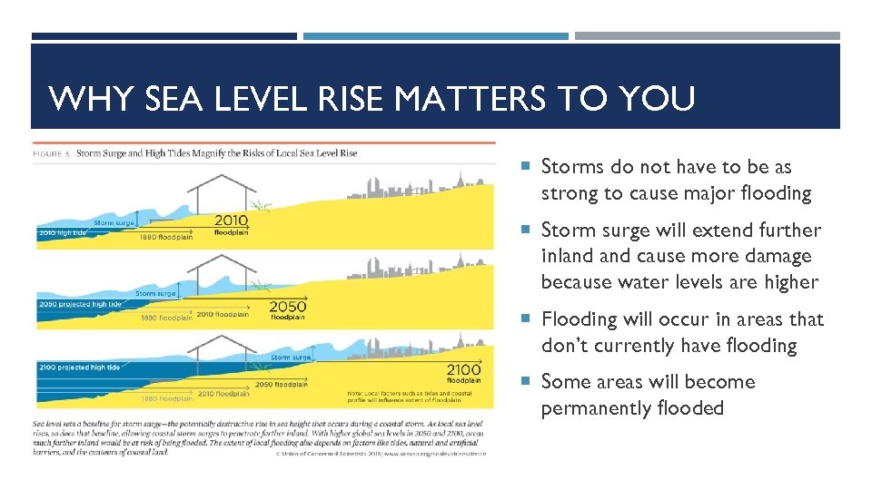 WHY SEA LEVEL RISE MATTERS TO YOU Storms do not have to be as