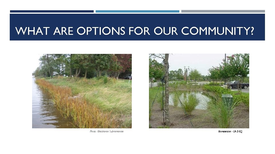 WHAT ARE OPTIONS FOR OUR COMMUNITY? Photo: Bhaskaran Subramanian Bioretention - LA DEQ 