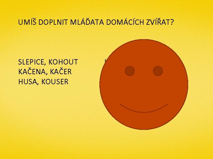 UMÍŠ DOPLNIT MLÁĎATA DOMÁCÍCH ZVÍŘAT? SLEPICE, KOHOUT KAČENA, KAČER HUSA, KOUSER KUŘE KACHNĚ HOUSE