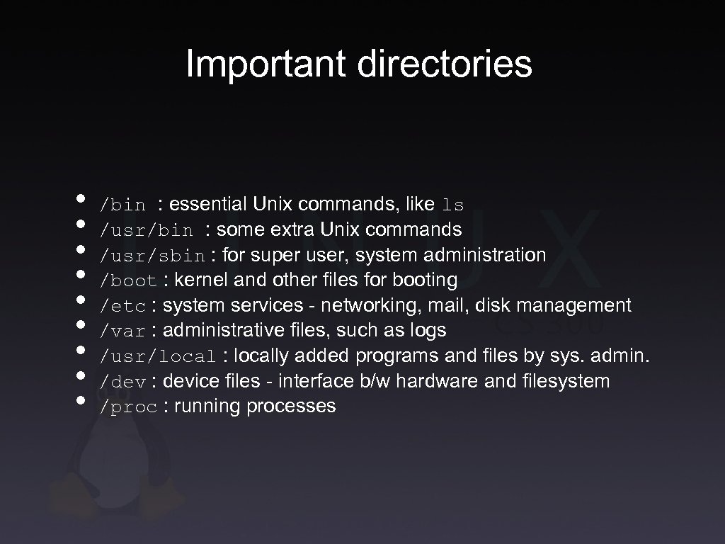 Important directories • • • /bin : essential Unix commands, like ls /usr/bin :