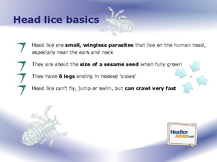 Head lice basics Head lice are small, wingless parasites that live on the human
