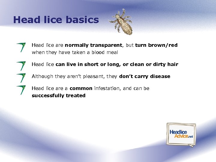 Head lice basics Head lice are normally transparent, but turn brown/red when they have